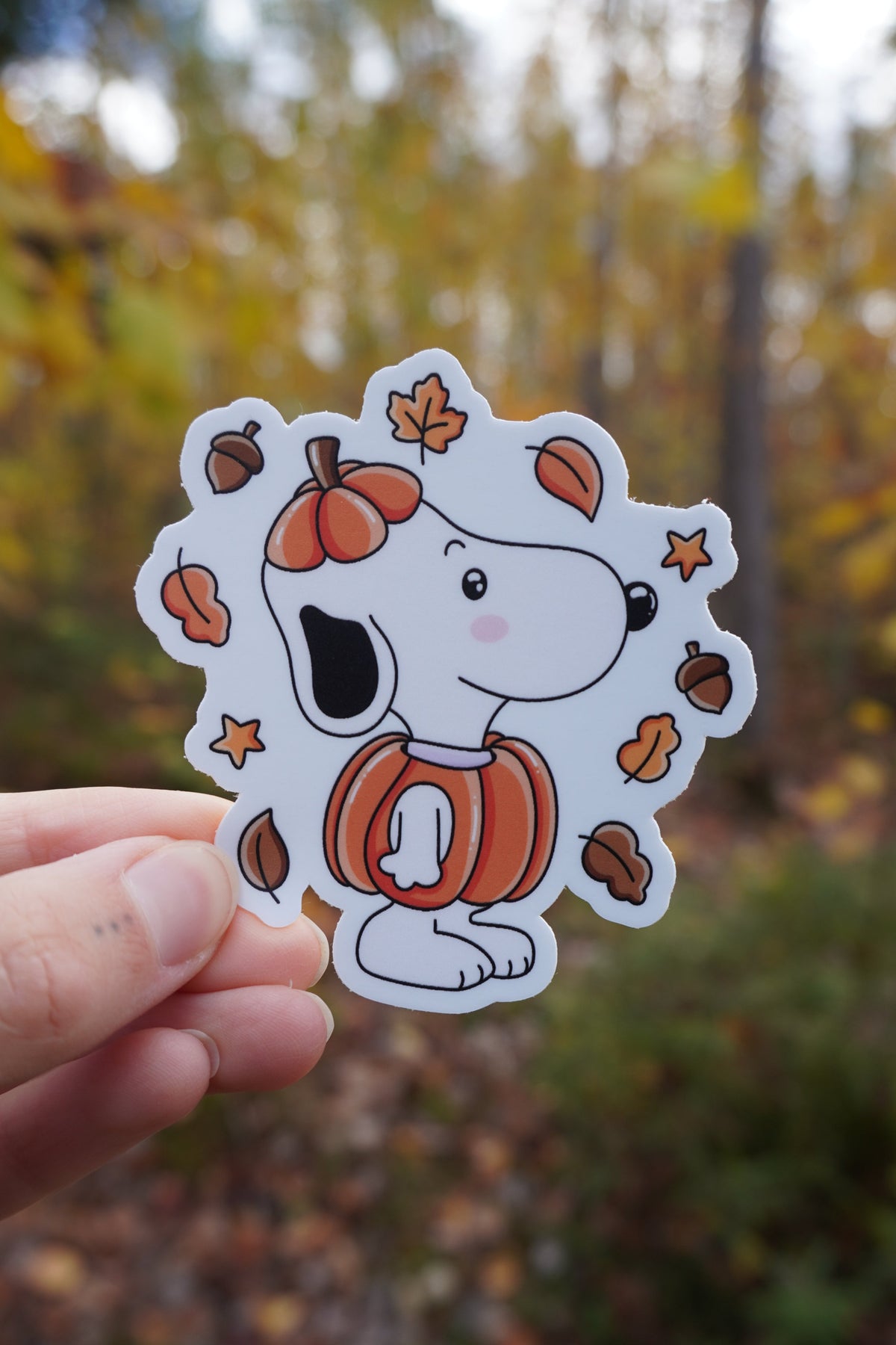 Pumpkin Dog Sticker