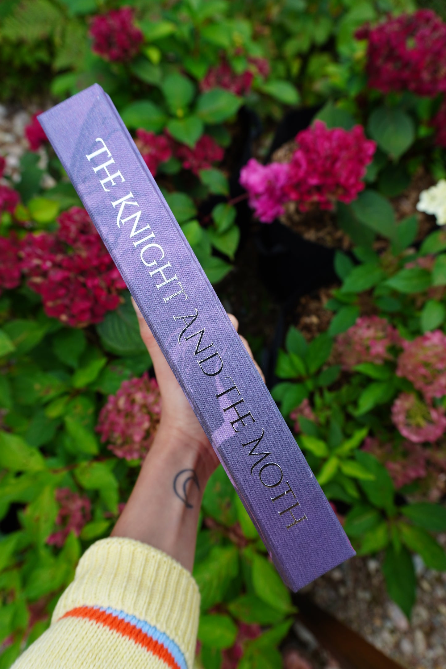 The Knight and the Moth by Rachel Gillig Handmade Rebind