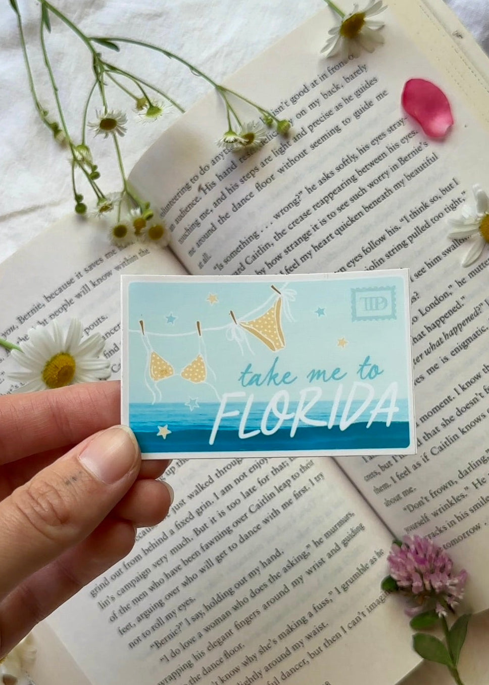 Take me to Florida Sticker