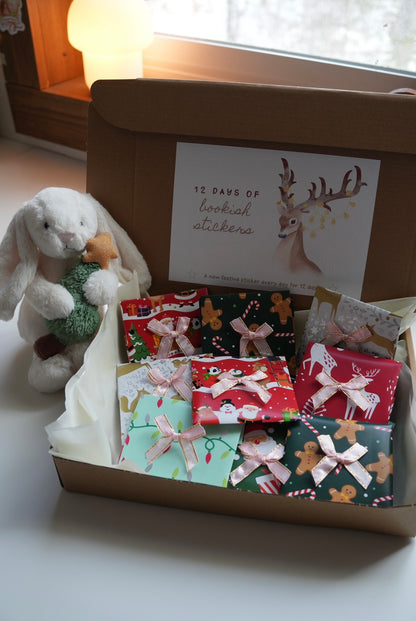 12 Days of Stickers Advent Box