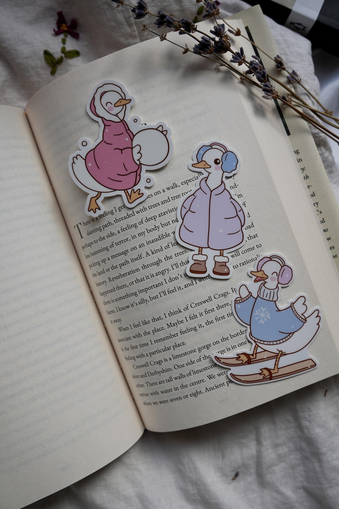 Winter Silly Geese Stickers