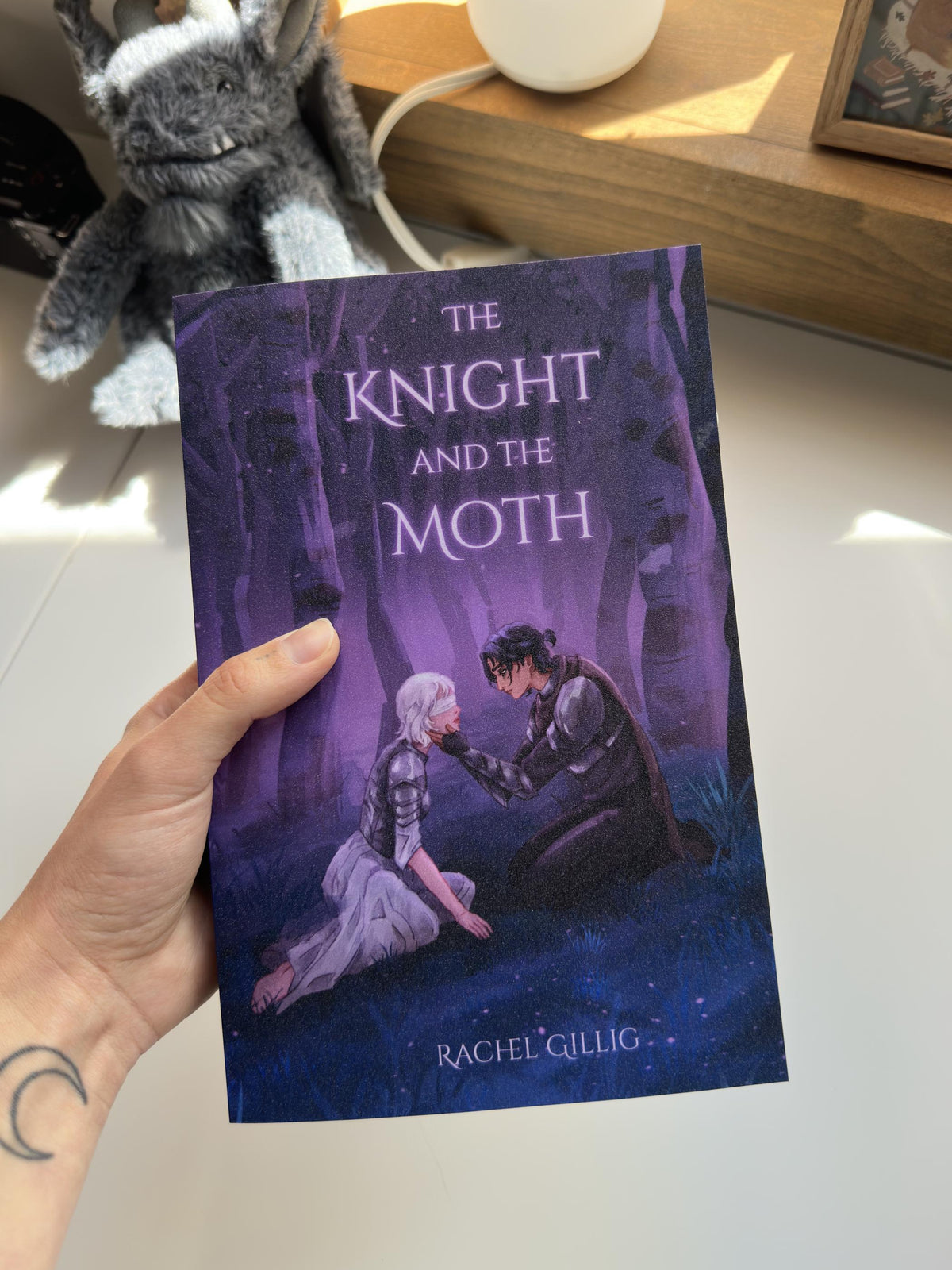 The Knight and the Moth by Rachel Gillig Paperback Rebind