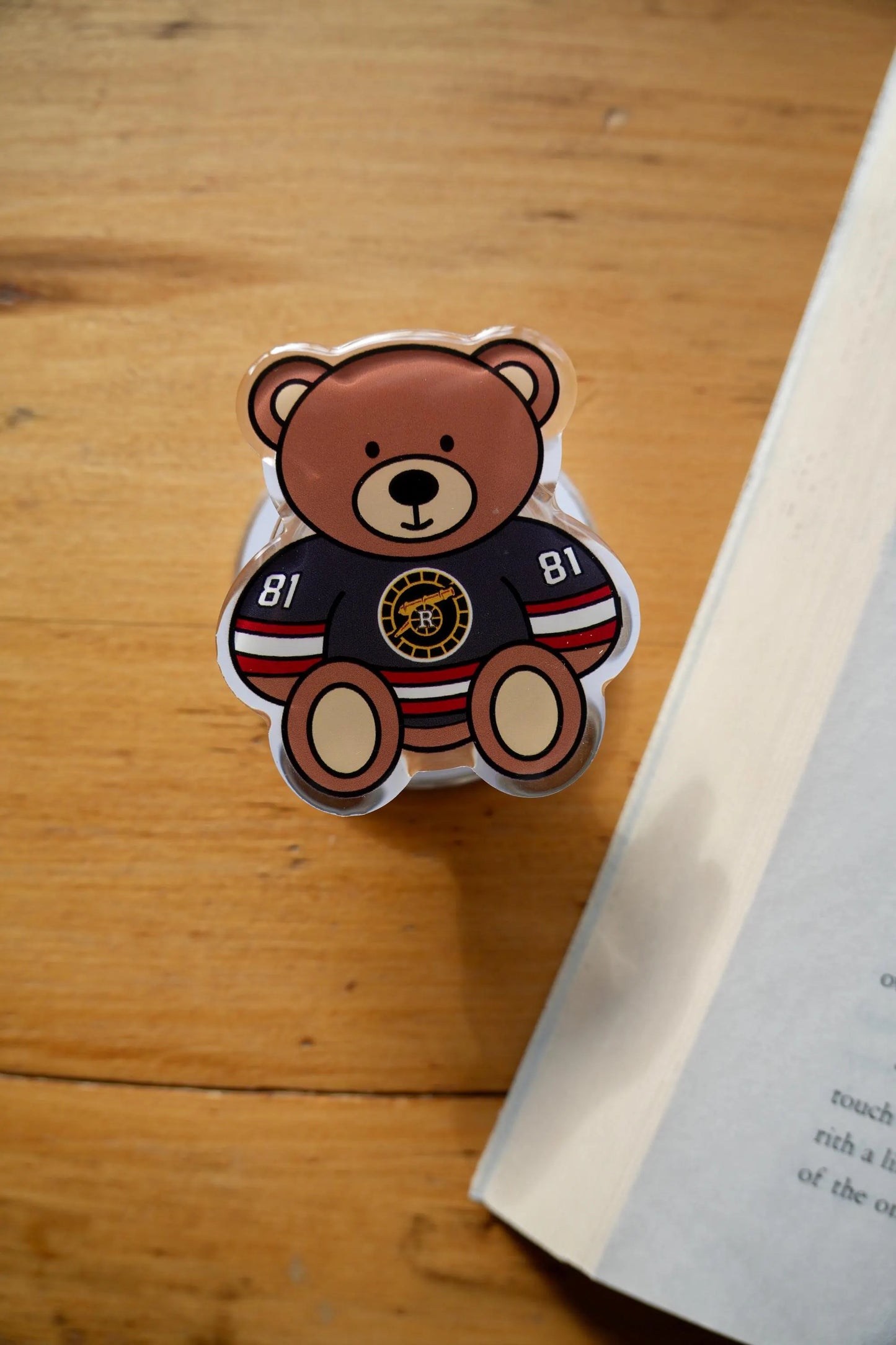 Shane & Ilya Teddy Magnetic E-reader Grip