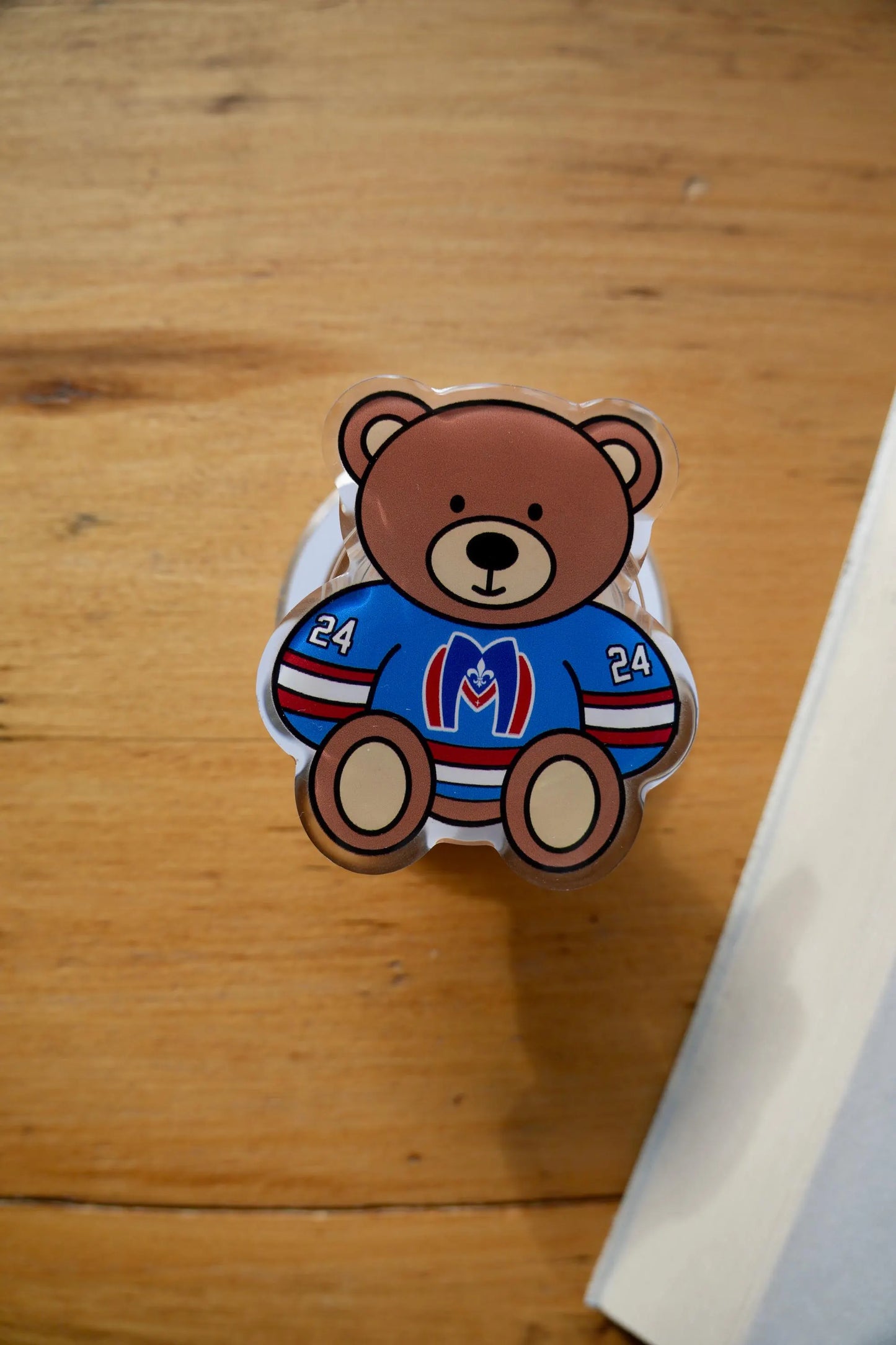 Shane & Ilya Teddy Magnetic E-reader Grip